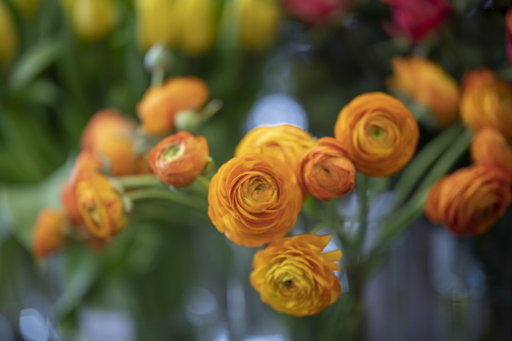 Exemple de bouquet de fleur