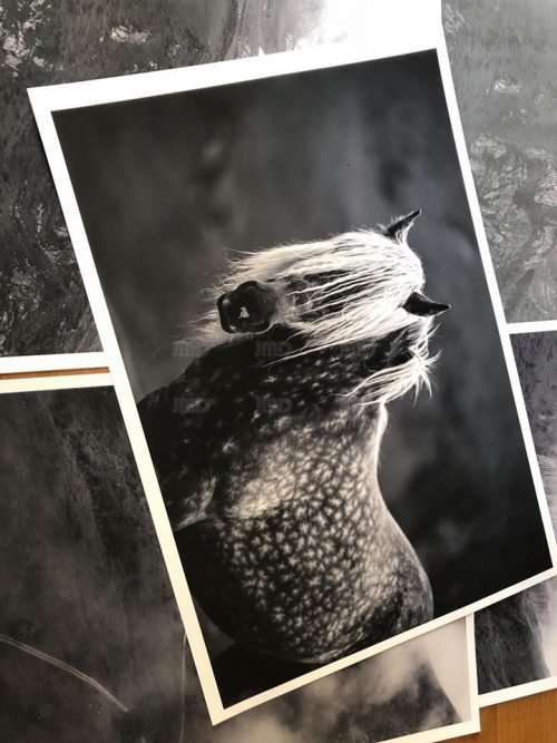 Brume  // 05 – Image 3