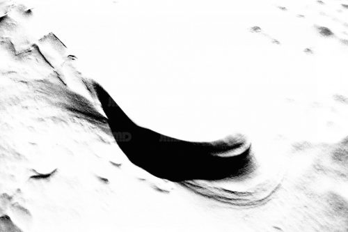 Graphite // 08 – Image 4
