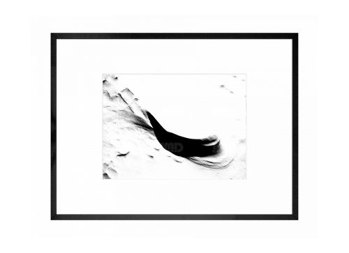 Graphite // 08