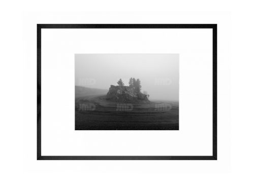 Brume  // 08