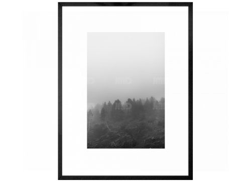 Brume  // 11
