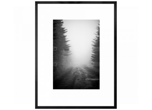 Brume  // 12