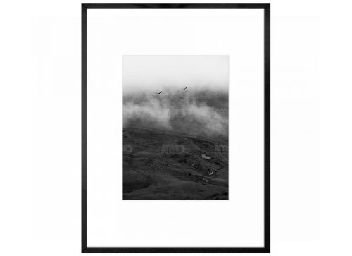 Brume  // 19