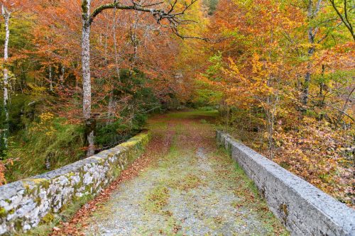 Couleurs d'automne, le pont, Pyrénées