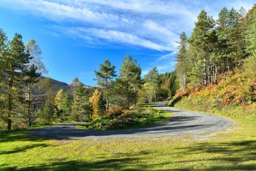 Couleurs d'automne, le virage, Pyrénées