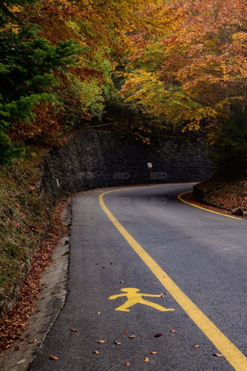 Couleurs d'automne, la route de montagne, le bonhomme jaune, Pyrénées, Vallée d'Ossau