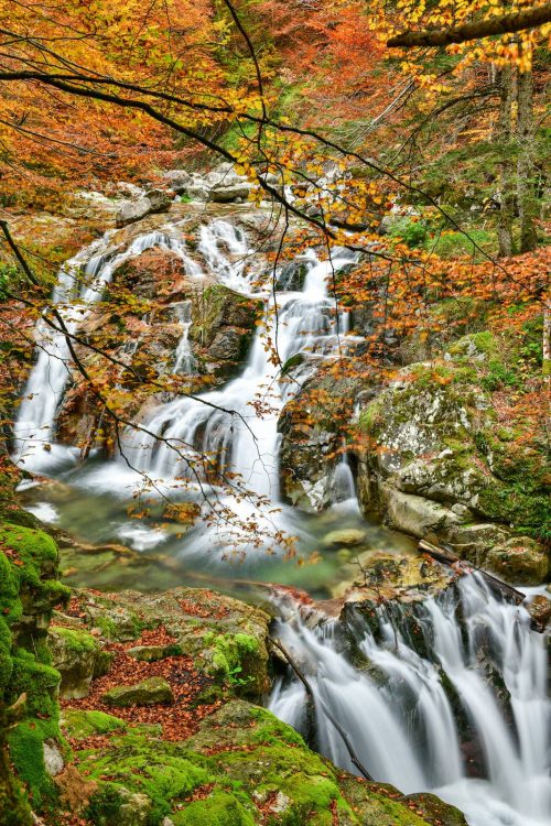 Couleurs d'automne, les cascades, Pyrénées, vallée d'Ossau