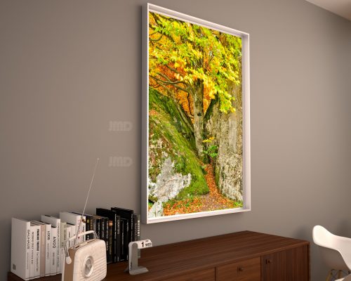 Couleurs d'automne, l'arbre tenace, faire sa place, Pyrénées, vallée d'Ossau – Image 2