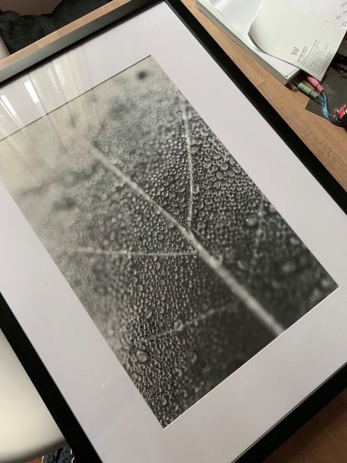 La feuille et la rosée – Image 4