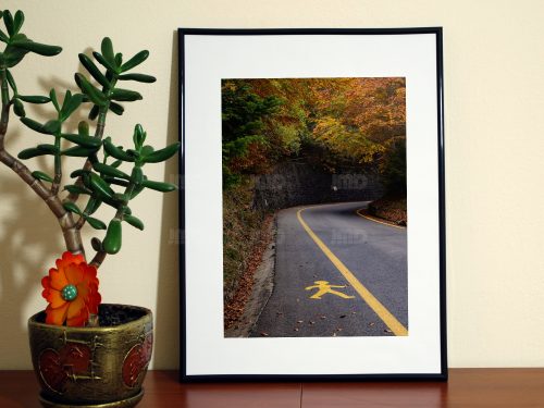 Couleurs d'automne, la route de montagne, le bonhomme jaune, Pyrénées, Vallée d'Ossau – Image 2