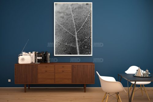 La feuille et la rosée – Image 2